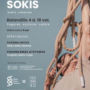 VYRIŠKAS ŠOKIS / NUEPIKO ŠOKIO TRUPĖ / ŠEIKO ŠOKIO TEATRAS