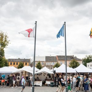 TURGAUS ATIDARYMAS, KAPELŲ DŪZGĖS / ŽAGARĖS VYŠNIŲ FESTIVALIS 2024