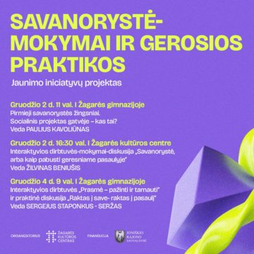 Jaunimo iniciatyvų projektas „Savanorystė – mokymai ir gerosios praktikos“