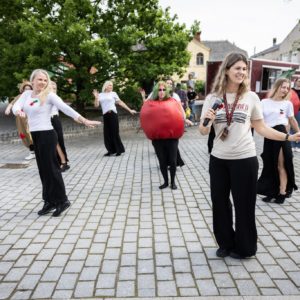 LINIJINIAI ŠOKIAI / ŽAGARĖS VYŠNIŲ FESTIVALIS 2025