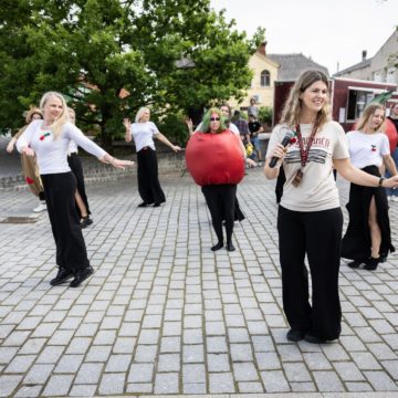 LINIJINIAI ŠOKIAI / ŽAGARĖS VYŠNIŲ FESTIVALIS 2025
