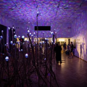 TOMAS DAUKŠA „LAIMĖS ŠVIESELĖS“ / ŽAGARĖS VYŠNIŲ FESTIVALIS 2025