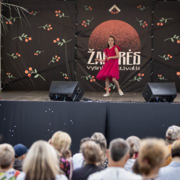 VAIKŲ IR JAUNIMO KONCERTAS / ŽAGARĖS VYŠNIŲ FESTIVALIS 2025