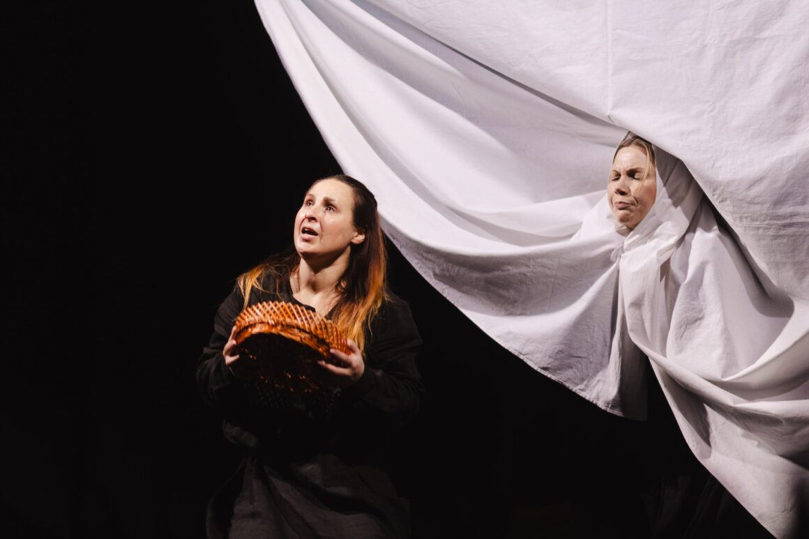 583318996_1281932743975382_5547419867756485899_n VAIDINTUVĖ 2025 / NAISIŲ VASAROS TEATRAS „GIRIOSE MARIOSE“