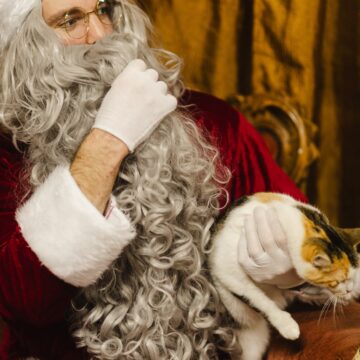 KALĖDŲ SENELIO DIRBTUVĖS / DIDŽIOJI KALĖDŲ ŠVENTĖ