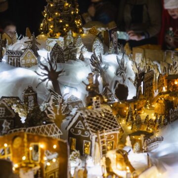 MEDUOLINĖS ŽAGARĖS PARODOS ATIDARYMAS / DIDŽIOJI KALĖDŲ ŠVENTĖ