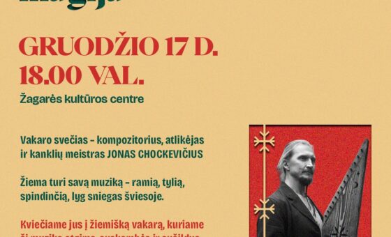 ŽIEMOS PASIDAINAVIMO MAGIJA / JONAS CHOCKEVIČIUS