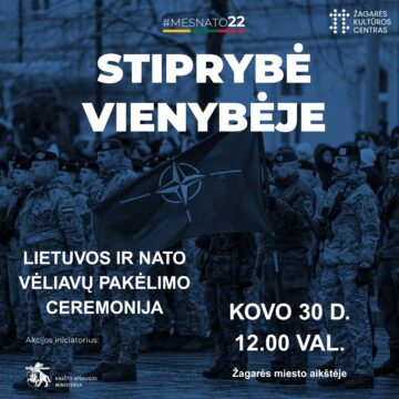 STIPRYBĖ VIENYBĖJE / MES NATO 22