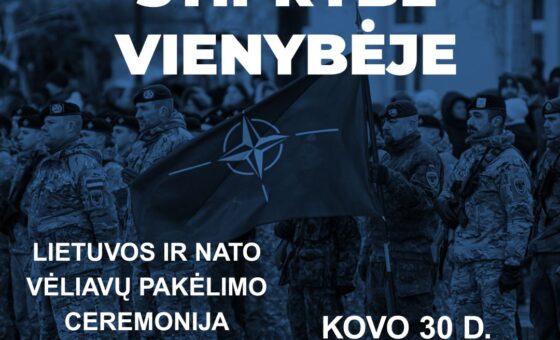 STIPRYBĖ VIENYBĖJE / MES NATO 22
