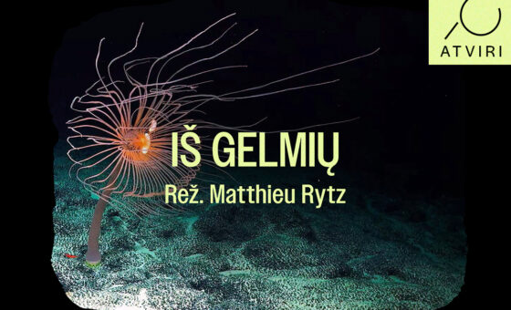 „SENGIRĖS KINAS” ŽAGARĖS KULTŪROS CENTRE: „IŠ GELMIŲ”