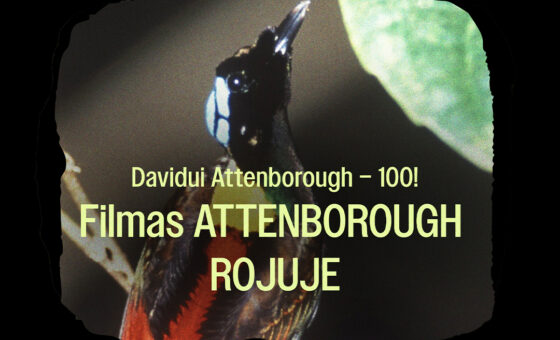 „SENGIRĖS KINAS” ŽAGARĖS KULTŪROS CENTRE: „ATTENBOROUGH ROJUJE”