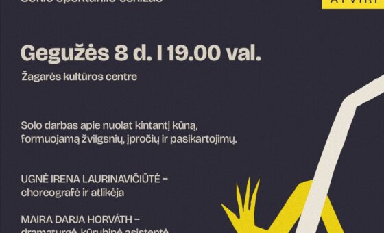 ON SEEN (rewiggling stories) / ŠOKIO SPEKTAKLIO ESKIZAS