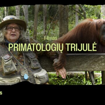 „SENGIRĖS KINAS” ŽAGARĖS KULTŪROS CENTRE: „PRIMATOLOGIŲ TRIJULĖ”